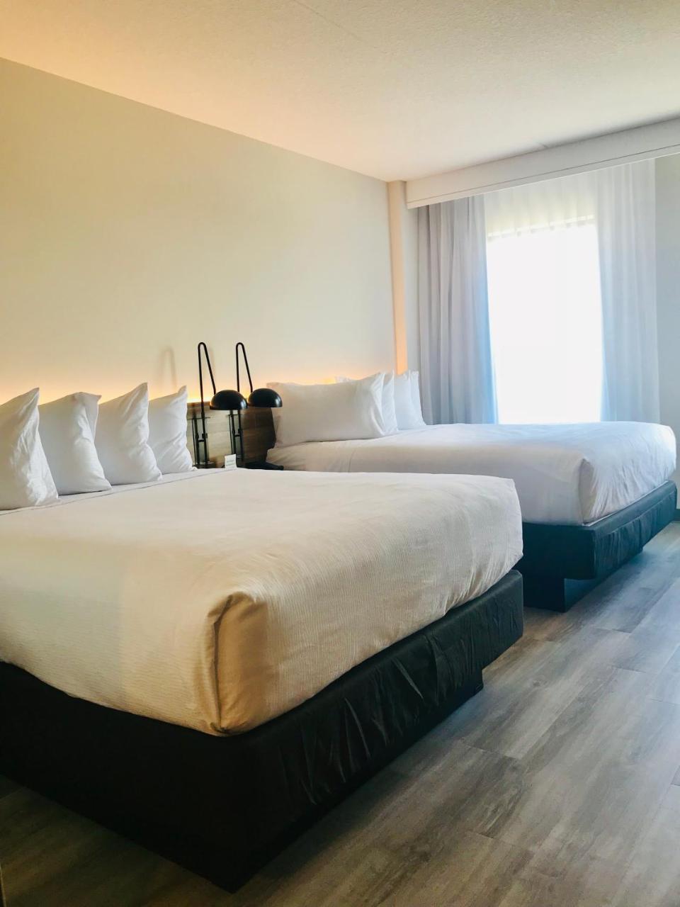 Wyndham Garden Ft Lauderdale Airport & Cruise Port Ξενοδοχείο Dania Beach Εξωτερικό φωτογραφία